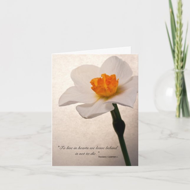 Vår Daffodil Tack för din sympati Kort (Framsida)