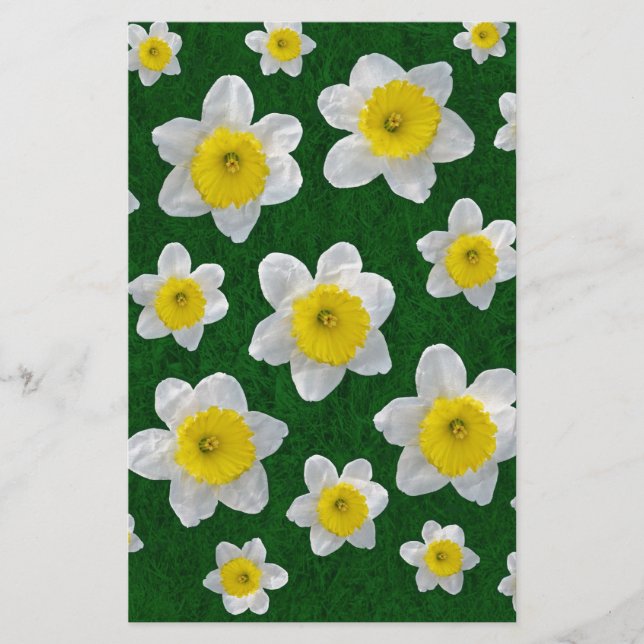 Vår Daffodils (Framsida)