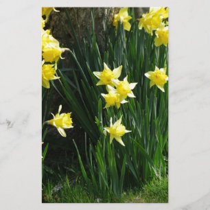 Vår Daffodils Brevpapper