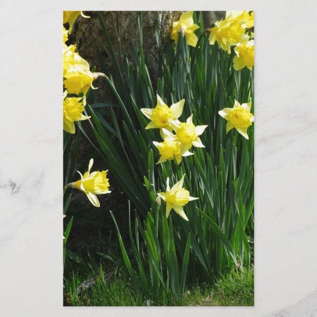 Vår Daffodils Brevpapper (Framsida)