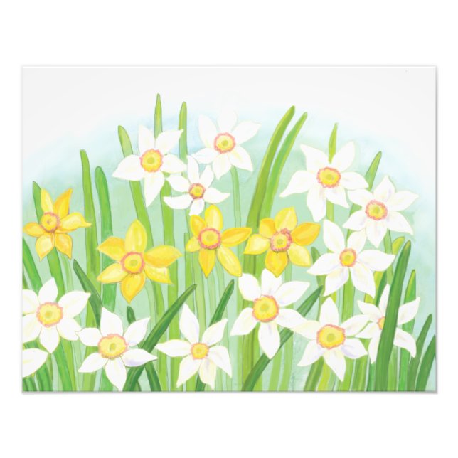 Vår Daffodils Fototryck (Framsidan)