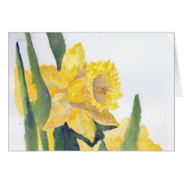 Vår Daffodils Hälsningskort