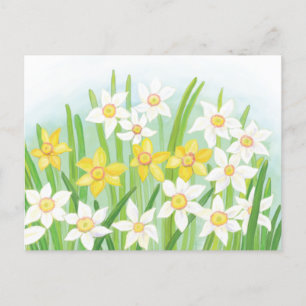 Vår Daffodils Helg Vykort