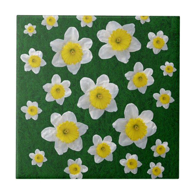 Vår Daffodils Kakelplatta (Framsidan)