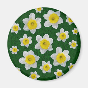 Vår Daffodils Magnet