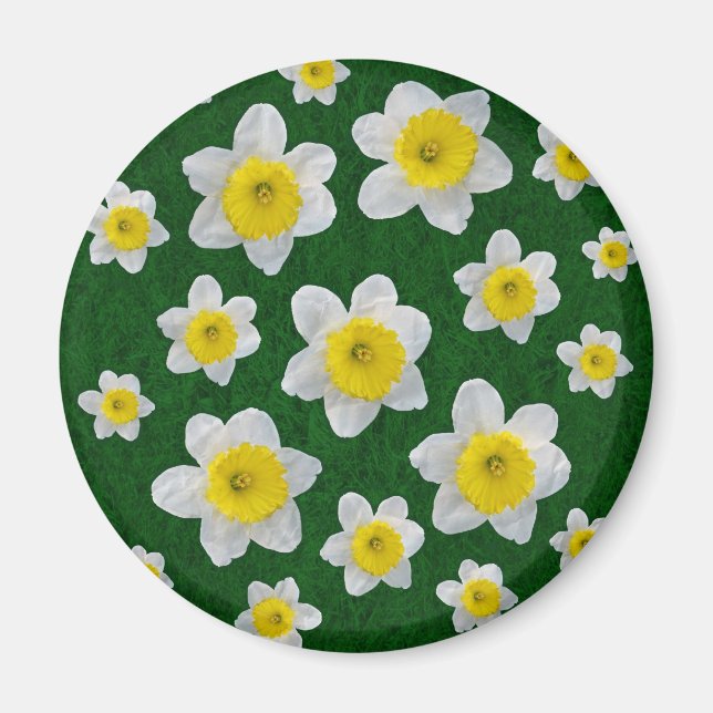 Vår Daffodils Magnet (Framsidan)