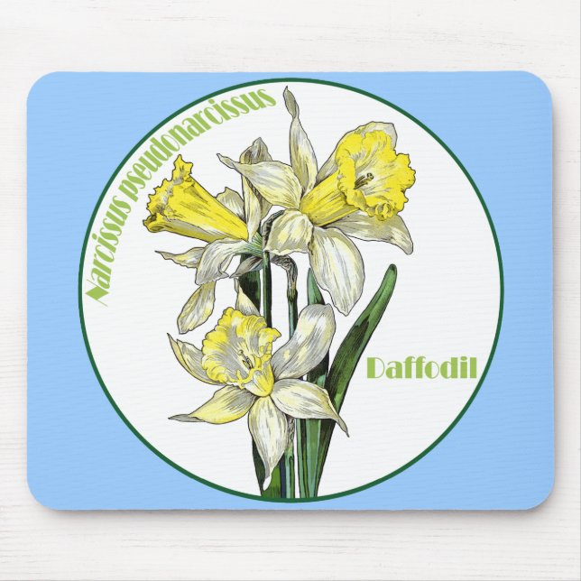 Vår Daffodils Musmatta (Framsidan)