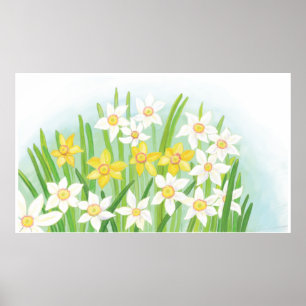 Vår Daffodils Poster