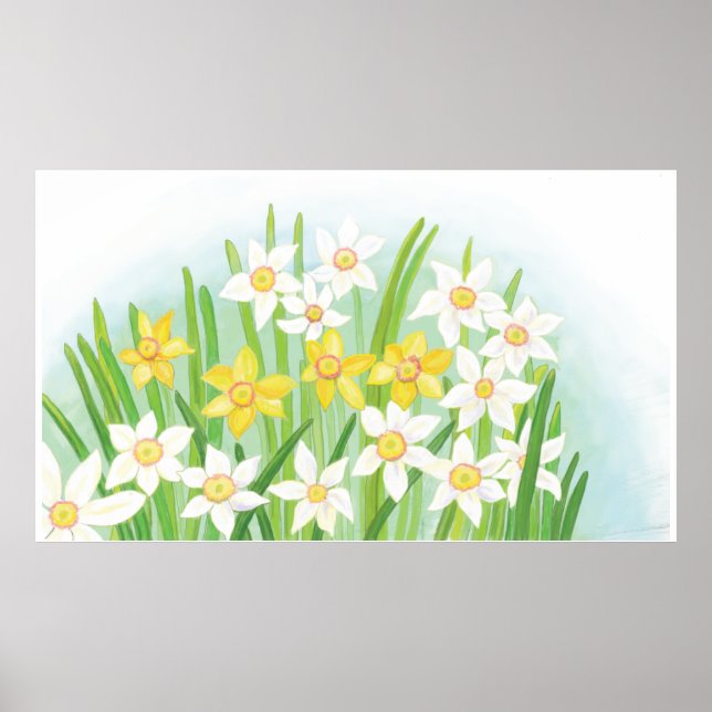 Vår Daffodils Poster (Framsidan)
