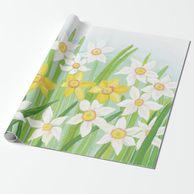 Vår Daffodils Presentpapper (Utrullad)