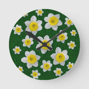Vår Daffodils Rund Klocka