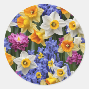 Vår Daffodils Söt Blommigt Runt Klistermärke