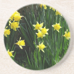 Vår Daffodils Underlägg