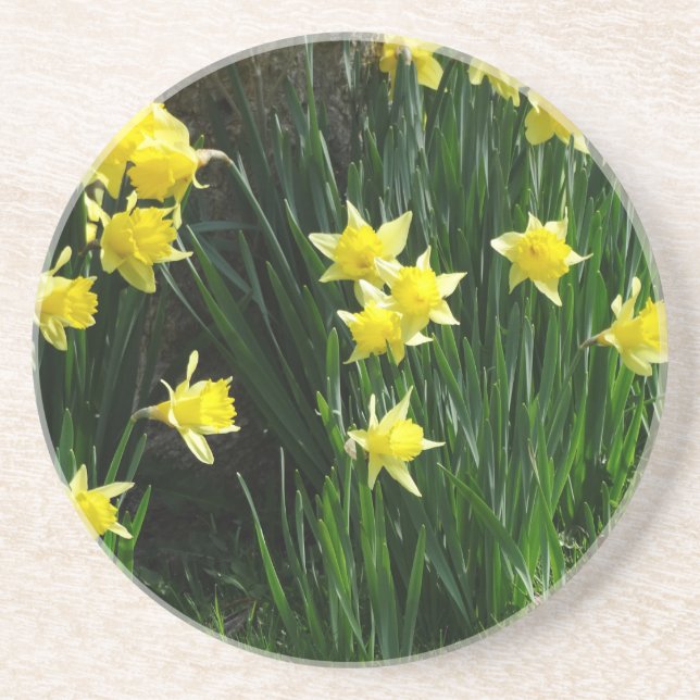 Vår Daffodils Underlägg (Framsidan)