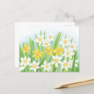 Vår Daffodils Vykort