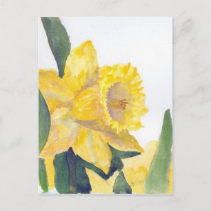 Vår Daffodils vykort