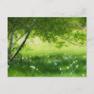 Vår Daffodils Vykort