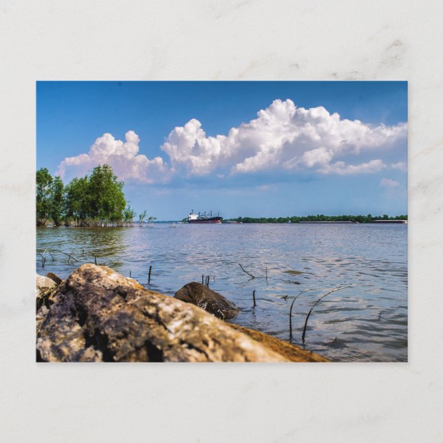 Vår dag i Mississippi-floden Vykort (Framsida)
