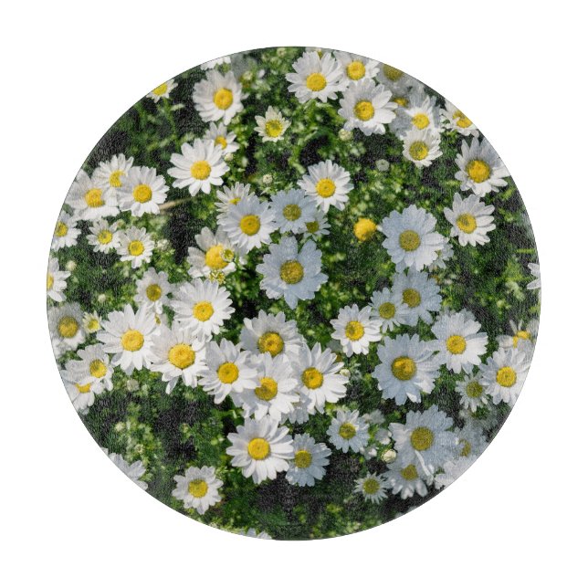 Vår Daisy Fält: Serenbakgrunden (Framsidan)