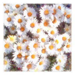 Vår Daisy Wildblommor Watercolor Fototryck