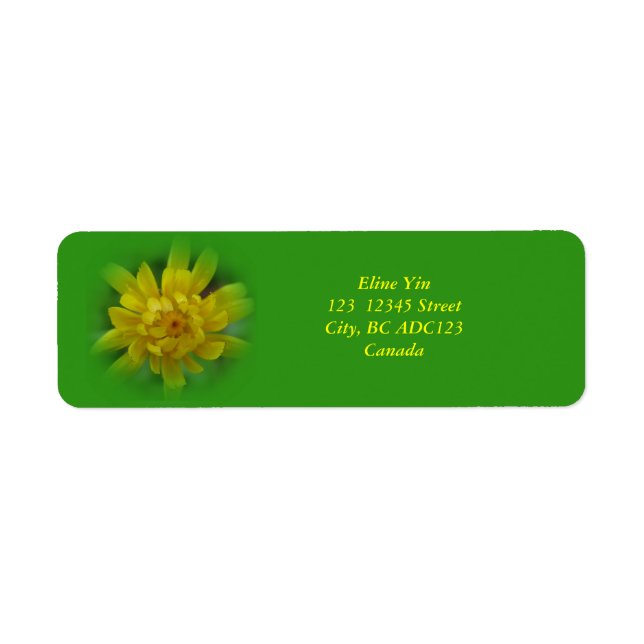 Vår dandelionblomma, grönt returadress etikett (Framsidan)