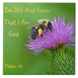 Var den stilla humlan kakelplatta