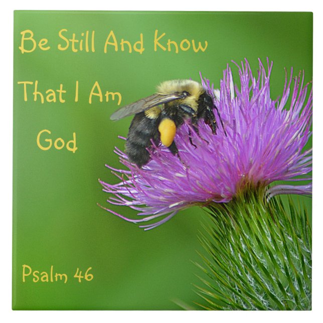 Var den stilla humlan kakelplatta (Framsidan)