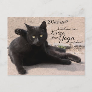 Var det? Noch nie eine Katze beim Yoga gesehen? Vykort