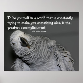 Var dig själv, citera Cute Parrot-inspiration Poster