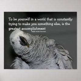 Var dig själv, citera Cute Parrot-inspiration Poster
