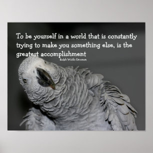 Var dig själv, citera Cute Parrot-inspiration Poster
