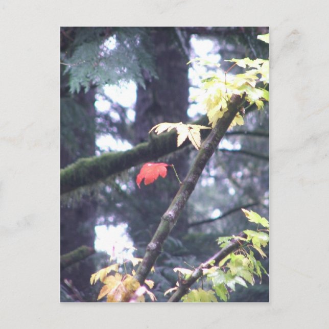 Var dig vykort (Framsida)