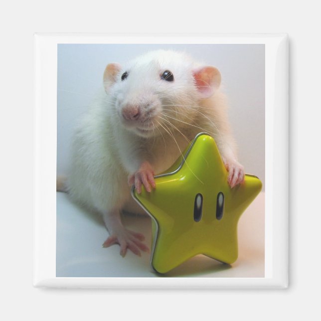 Var din egen stjärna magnet (Framsidan)