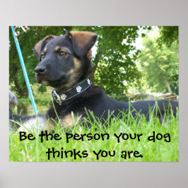Var din Hund tror att du är, Poster