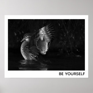 Var ditt eget kvinnliga mandarin Anka Black White  Poster