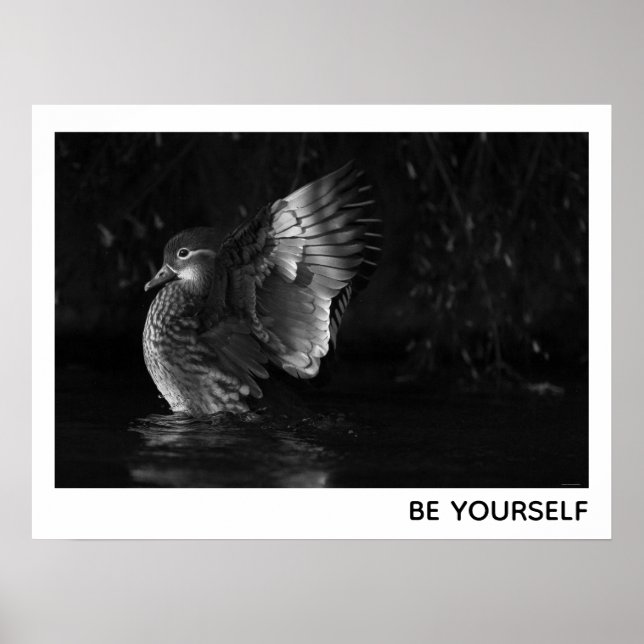 Var ditt eget kvinnliga mandarin Anka Black White  Poster (Framsidan)