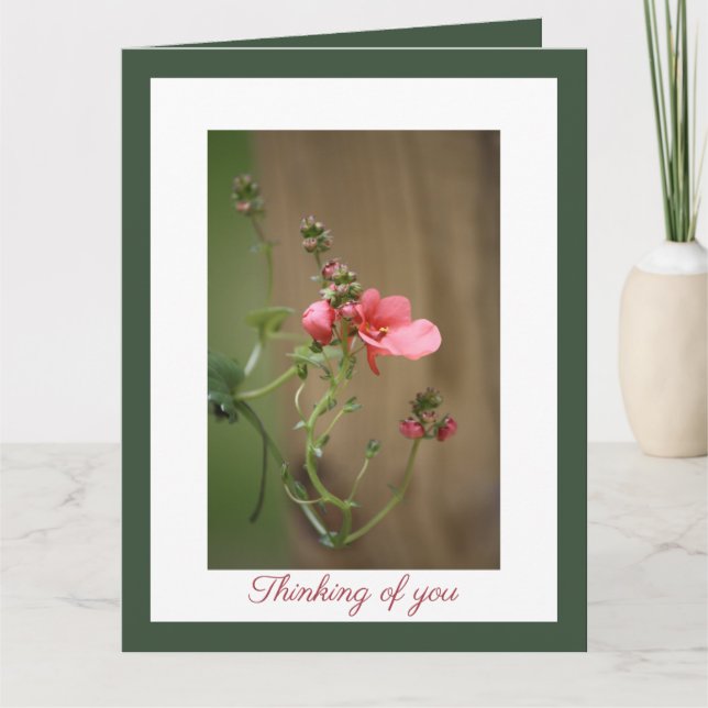 Vår djupaste sympati kort (Framsida)