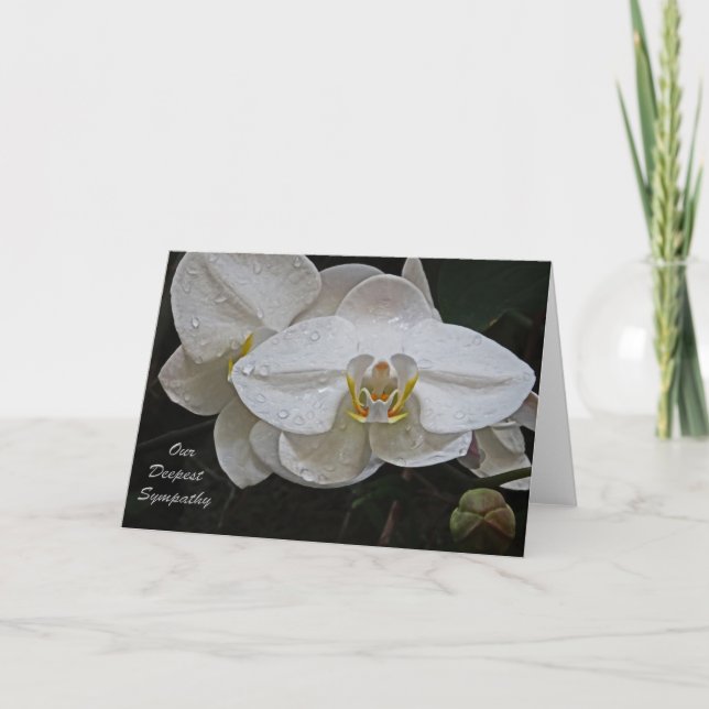 Vår djupaste sympati kort (Framsida)