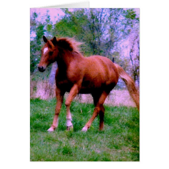 Vår Dreams, Sorrel Trotting Hälsningskort (Framsidan)