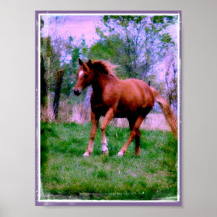 Vår Dreams, Sorrel Trotting Poster