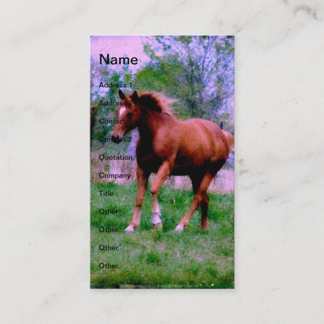 Vår Dreams, Sorrel Trotting Visitkort (Framsida)