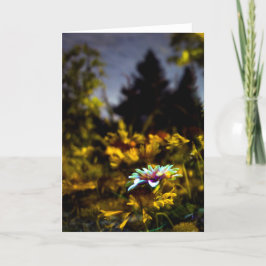 var drömmar kan komma kort