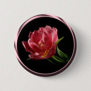 Vår Dubbla Bloom Tulip-knapp Knapp