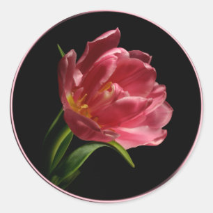 Vår Dubbla Bloom Tulip kuvert Förseglingsetikett Runt Klistermärke