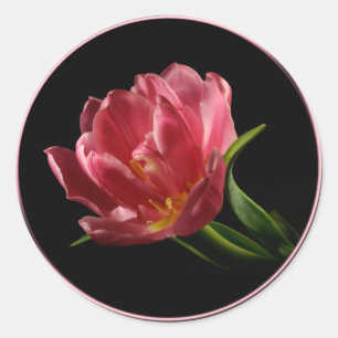 Vår Dubbla Bloom Tulip kuvert Förseglingsetikett Runt Klistermärke