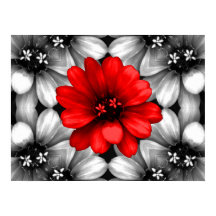 Var en annan röd blomma