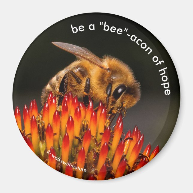 Var en "biacon"Beacon Beacon of Hope Bee on Echina Magnet (Framsidan)