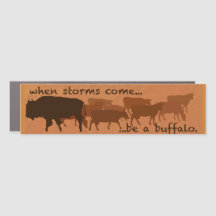 Var en Buffalo magnet