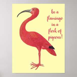 Var en Flamingo - Roligt, inspirationsoffert Poster