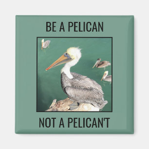 Var en pelican, inte en pelikan-magnet magnet